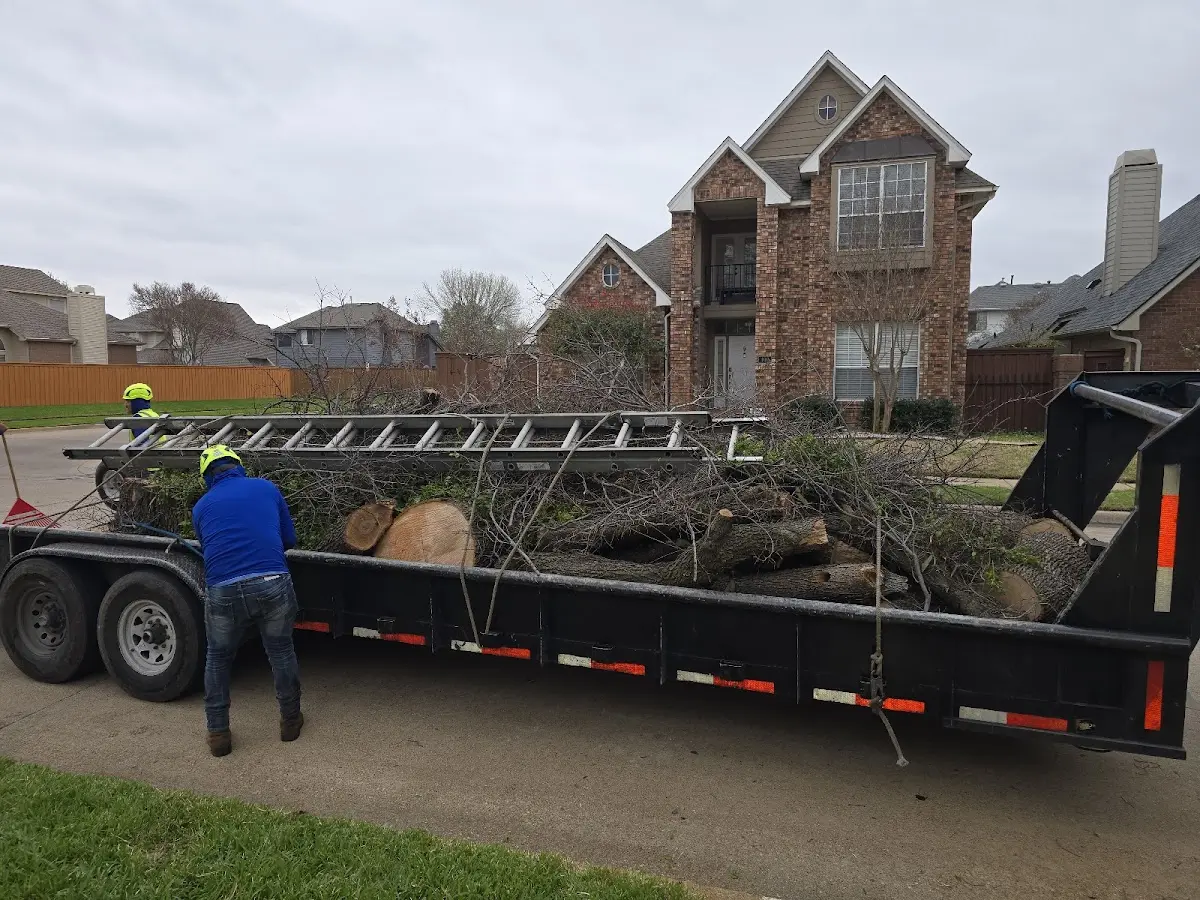 Expert Lot Clearing with proper safety equipment in Radom